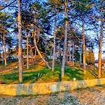 Casina Dei Sogni فيلة *