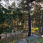 فيلة Casina Dei Sogni