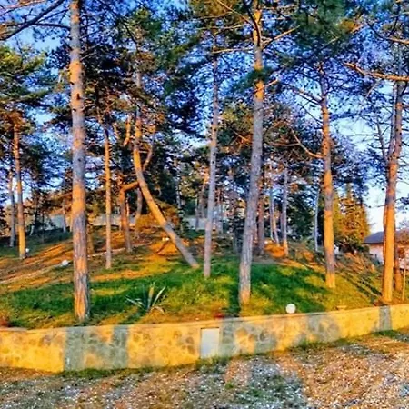 Casina Dei Sogni Βίλα *